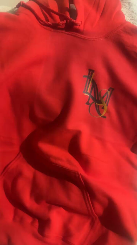 Faith Over Fear Hoodie-LMS